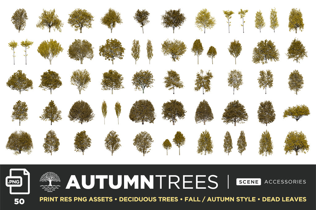 Tree + Foliage – Photoshop Scene Kit