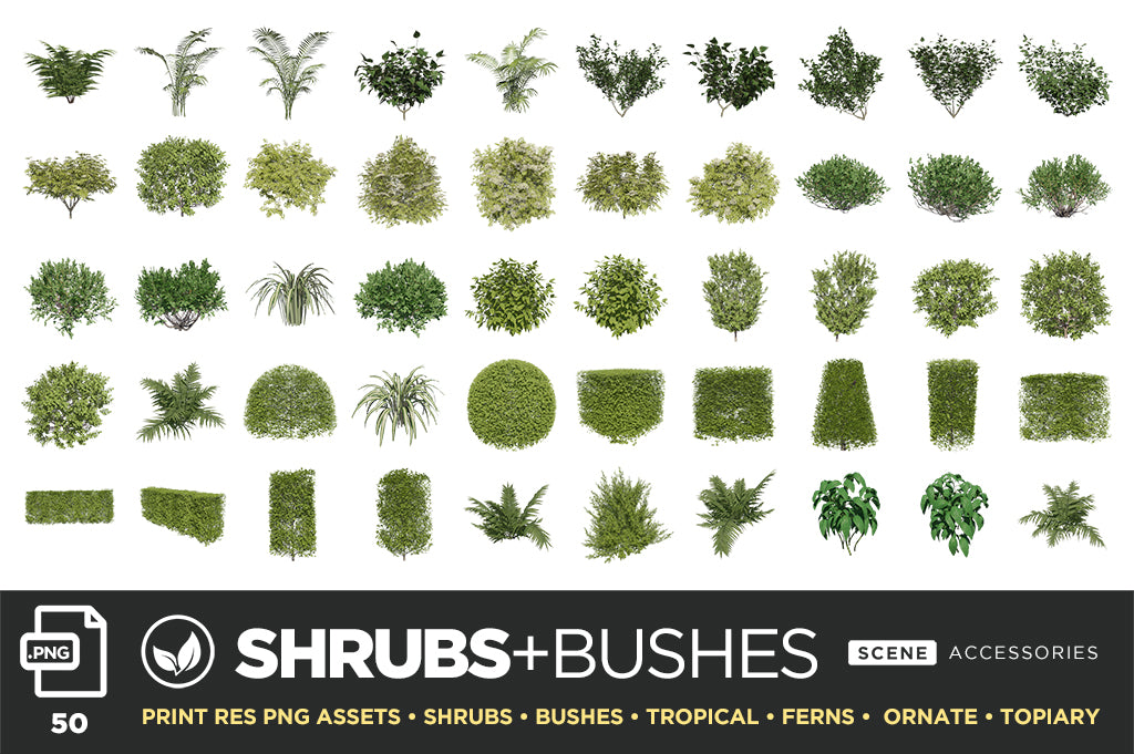 Tree + Foliage – Photoshop Scene Kit