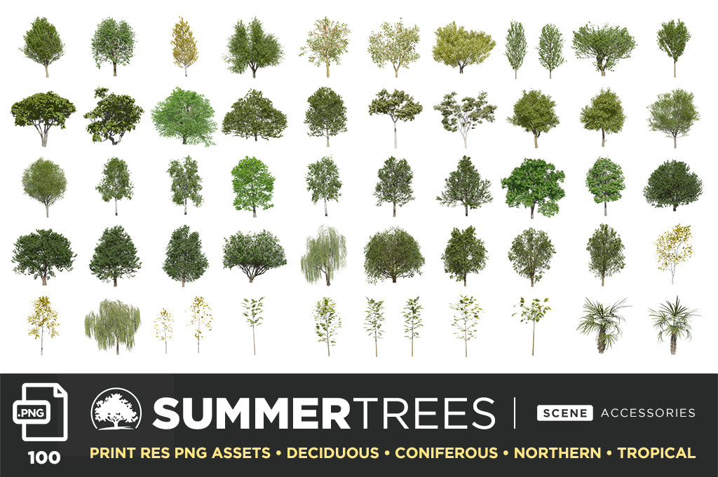 Tree + Foliage – Photoshop Scene Kit
