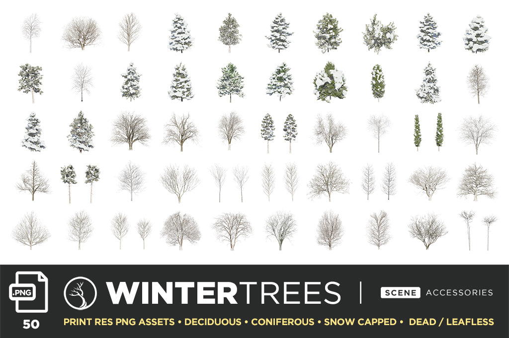 Tree + Foliage – Photoshop Scene Kit